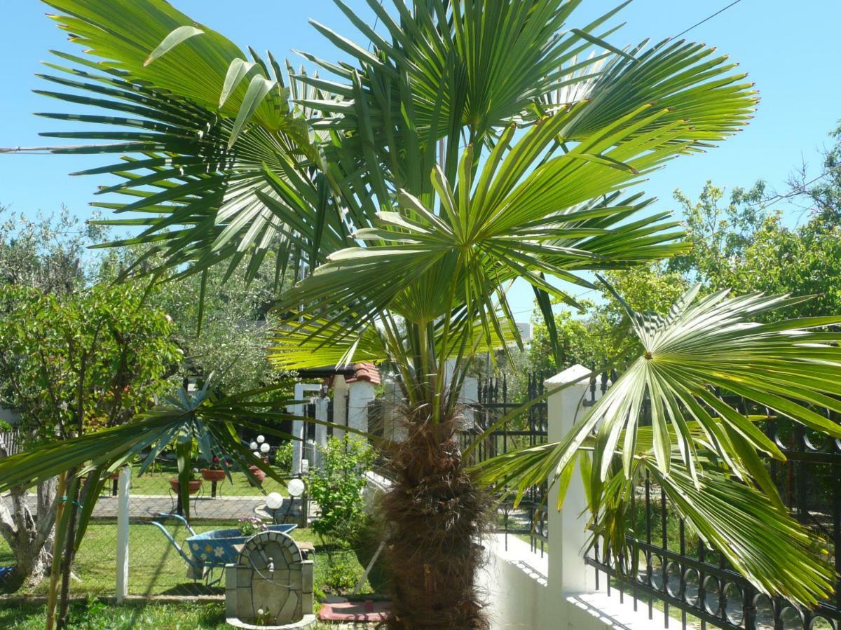 Kallilkratia Holiday Flat 2 Nea Kallikrateia Ngoại thất bức ảnh